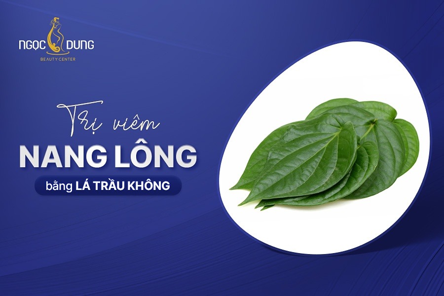 Trị viêm nang lông bằng lá trầu không