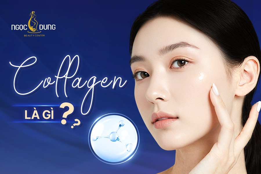 Collagen Là Gì Và Có Tác Dụng Gì? Bí Quyết Trẻ Hóa Da 2 Collagen có tác dụng gì?