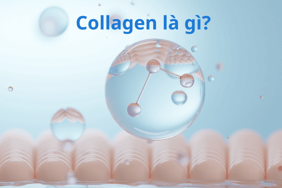 Collagen Là Gì Và Có Tác Dụng Gì? Bí Quyết Trẻ Hóa Da 3 Collagen là một loại protein dạng sợi, cấu tạo từ chuỗi axit amin chủ yếu là glycine, proline, và hydroxyproline