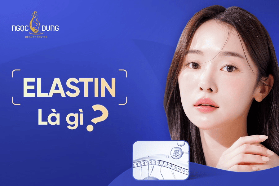 Elastin là gì? Vai trò và cách bổ sung giúp trẻ hóa da 2 Vai trò và cách bổ sung Elastin giúp da trẻ hóa