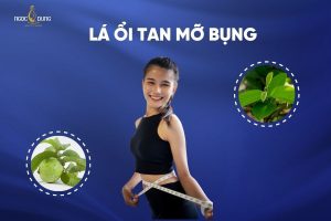 Lá ổi có giúp tan mỡ bụng không