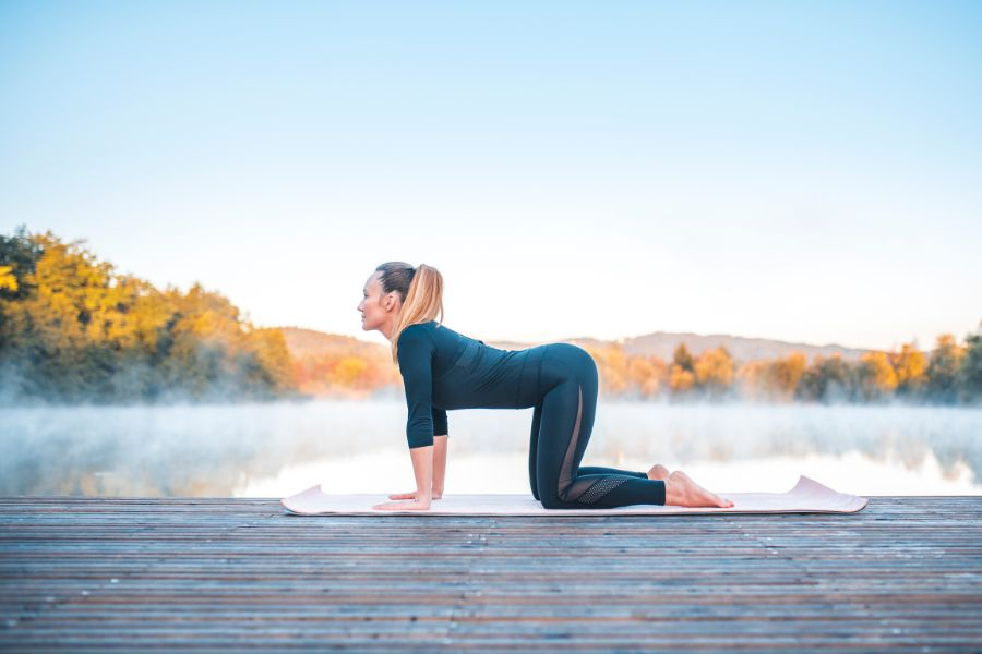 Bạn có thể tập tư thế con mèo trong giai đoạn đầu làm quen với Yoga