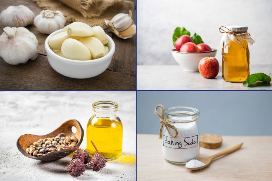 Một số nguyên liệu thiên nhiên được cho là có thể tẩy nốt ruồi ở cánh tay