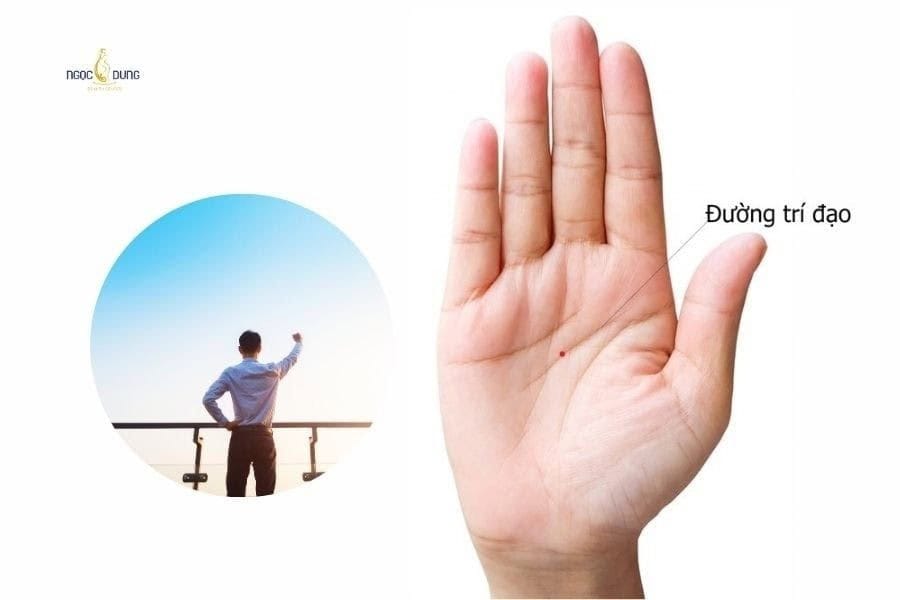 Giải mã ý nghĩa nốt ruồi ở lòng bàn tay nam nữ chi tiết 5 Người có nốt ruồi ở đường trí đạo thường tự lập sớm