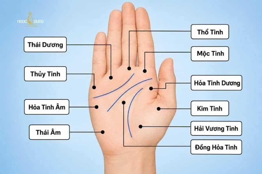 Giải mã ý nghĩa nốt ruồi ở lòng bàn tay nam nữ chi tiết 4 Các vị trí nốt ruồi ở các gò lòng bàn tay