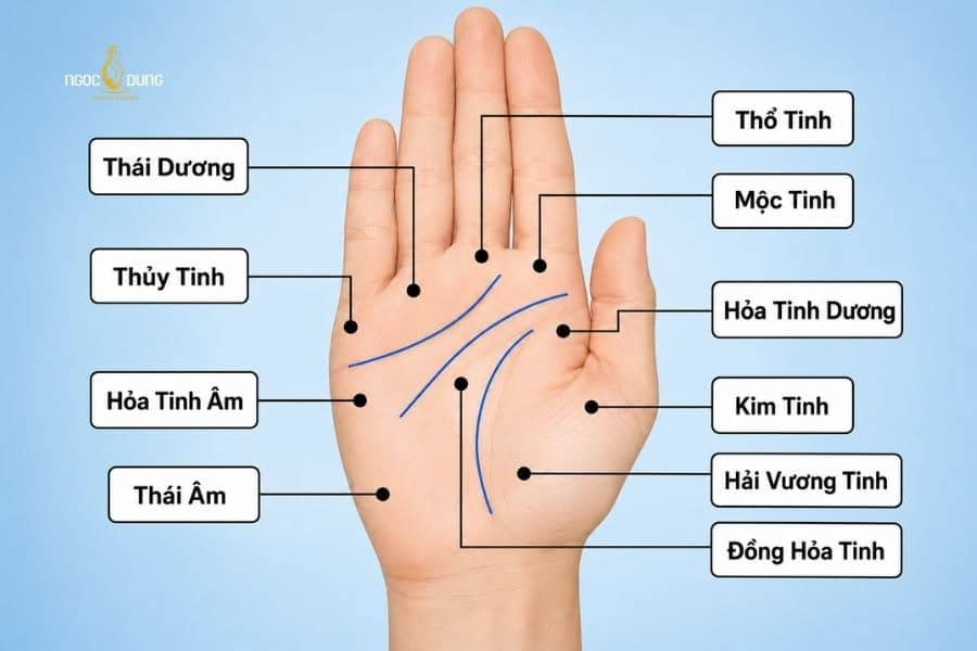 Một số vị trí nốt ruồi phổ biến ở lòng bàn tay