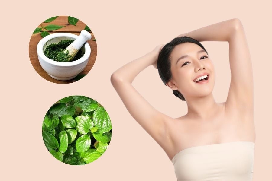 Bôi tinh chất lá trầu có thể hỗ trợ làm rụng lông nách tự nhiên sau vài tuần kiên trì