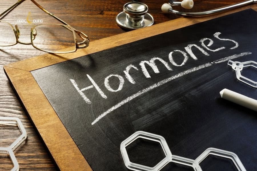 Cách triệt râu quai nón cho nam an toàn và hiệu quả 3 Hormone nam cũng là yếu tố làm râu quai nón phát triển mạnh