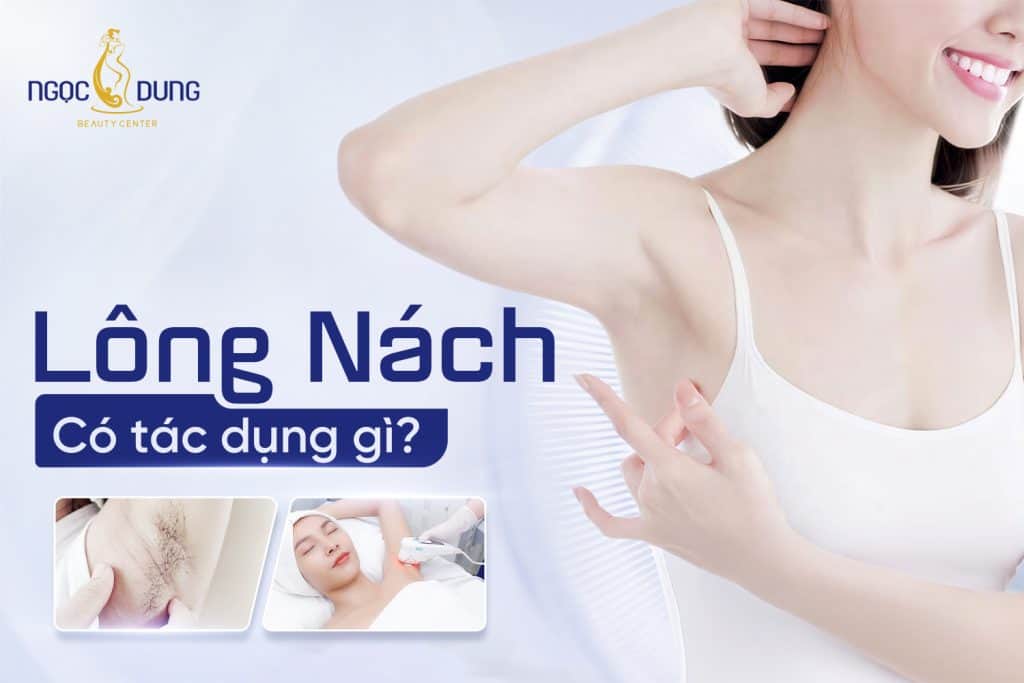 Lông nách có tác dụng gì? Một số vấn đề mà bạn cần lưu ý