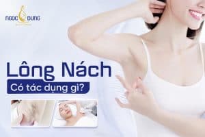 Lông nách có tác dụng gì? Một số vấn đề mà bạn cần lưu ý