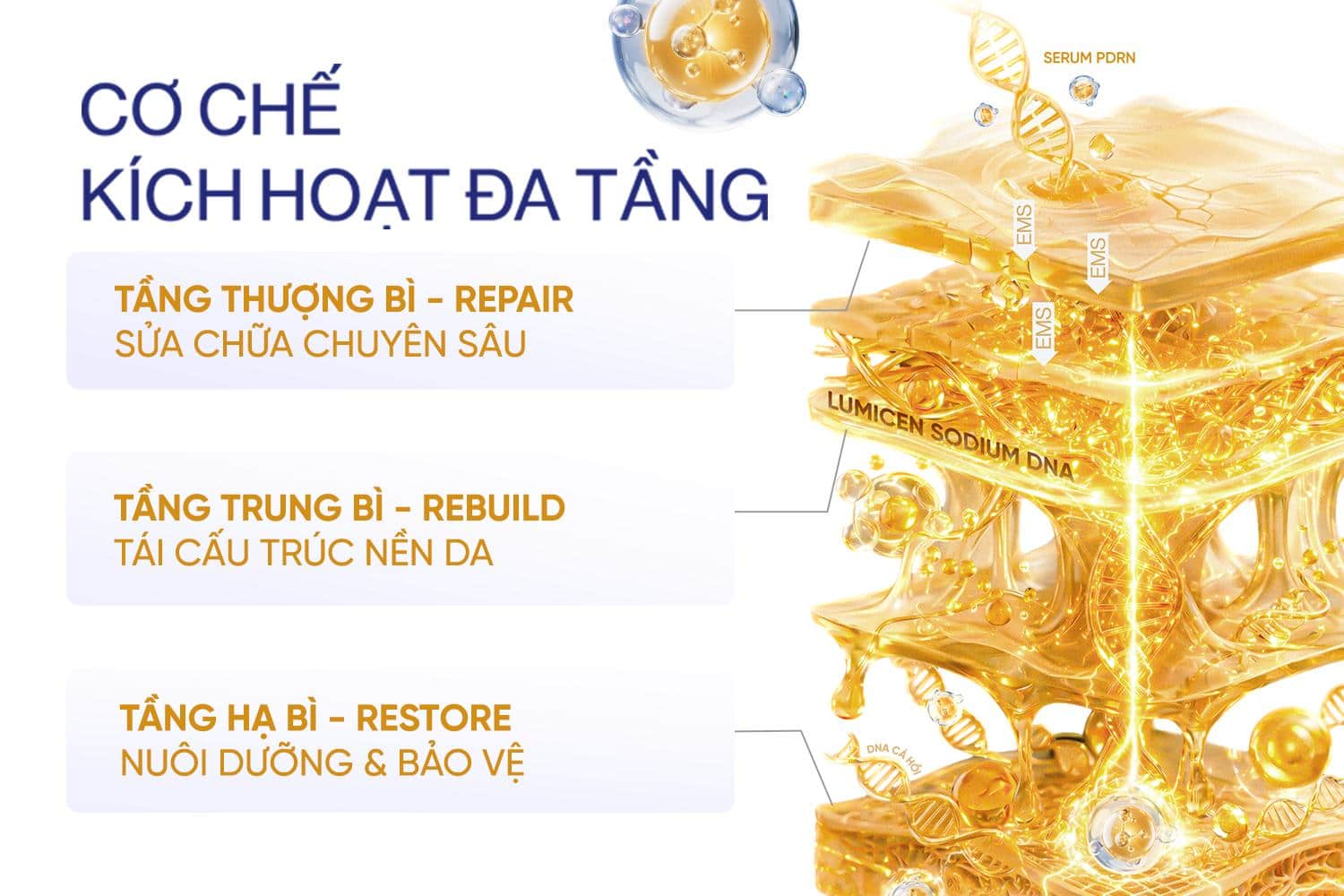 Sức mạnh của PDRN Bioregen 4D nằm ở cơ chế 3 tầng độc quyền, xử lý triệt để các vấn đề của da