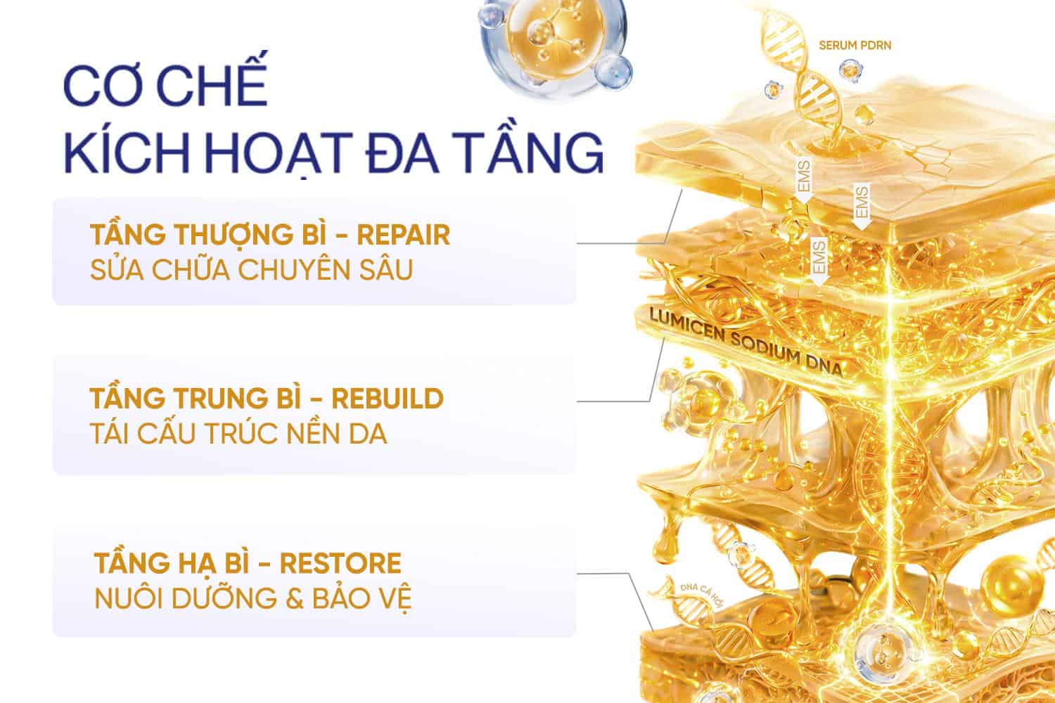 Liệu Pháp Tái Sinh Tế Bào PDRN BIOREGEN 4D Phục Hồi Da 9 PDRN BioRegen 4D hoạt động theo hệ thống 3 tầng sinh học, mỗi tầng đảm nhận một nhiệm vụ chuyên biệt