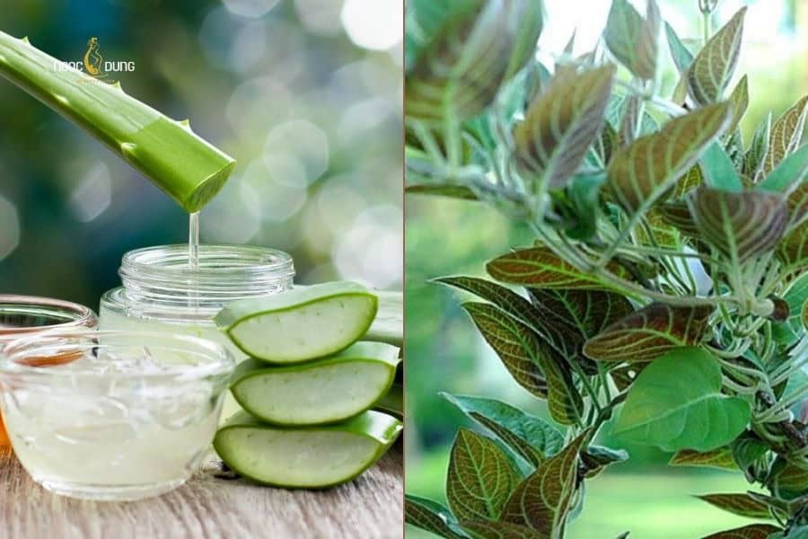 Bạn có thể xóa xăm mí mắt tại nhà với nha đam và lá mơ