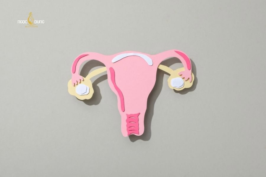 Tại sao lông nách mọc nhanh? Cách làm giảm tốc độ lông mọc 2 Nồng độ hormone cao là giải đáp phổ biến cho thắc mắc tại sao lông nách mọc nhanh