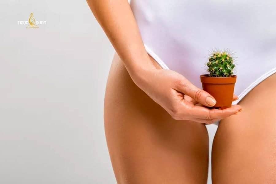Tạo hình bikini phong thủy thu hút tài lộc và may mắn 8 Hãy đảm bảo nền da bikini khỏe mạnh trước buổi triệt lông