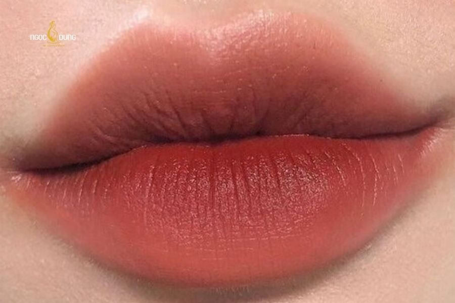 Môi thâm nên dùng son màu gì? Top 8 màu son cực đỉnh 2 Môi màu đỏ đất là tone màu được nhiều chị em lựa chọn để che đi sắc môi thâm