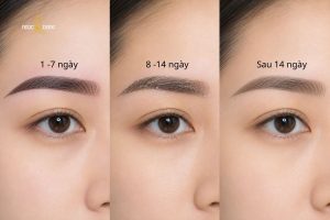 Lông mày sẽ bong hoàn toàn sau 14 ngày