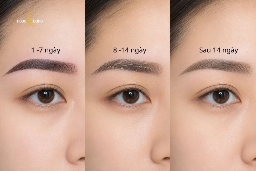 Lông mày sẽ bong hoàn toàn sau 14 ngày